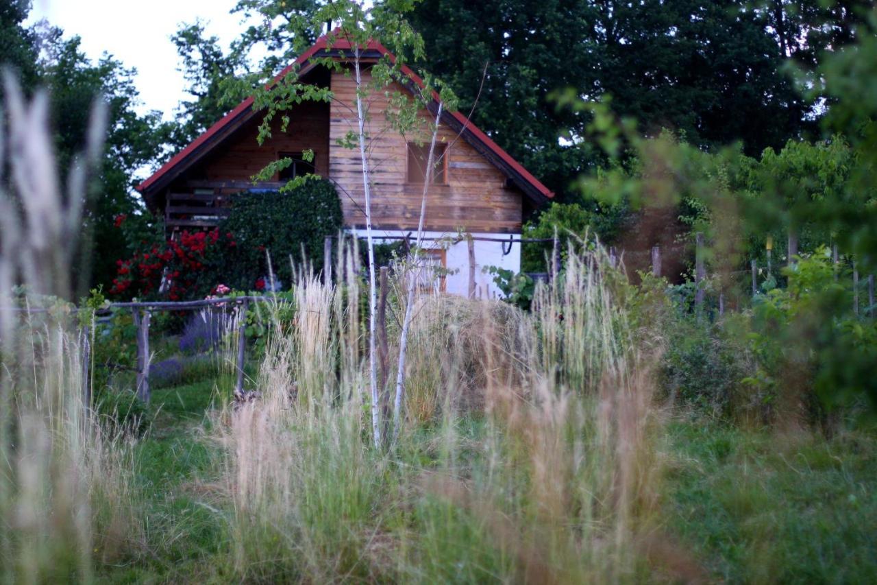 Holiday Home Trnavsko Bogojina Exterior foto